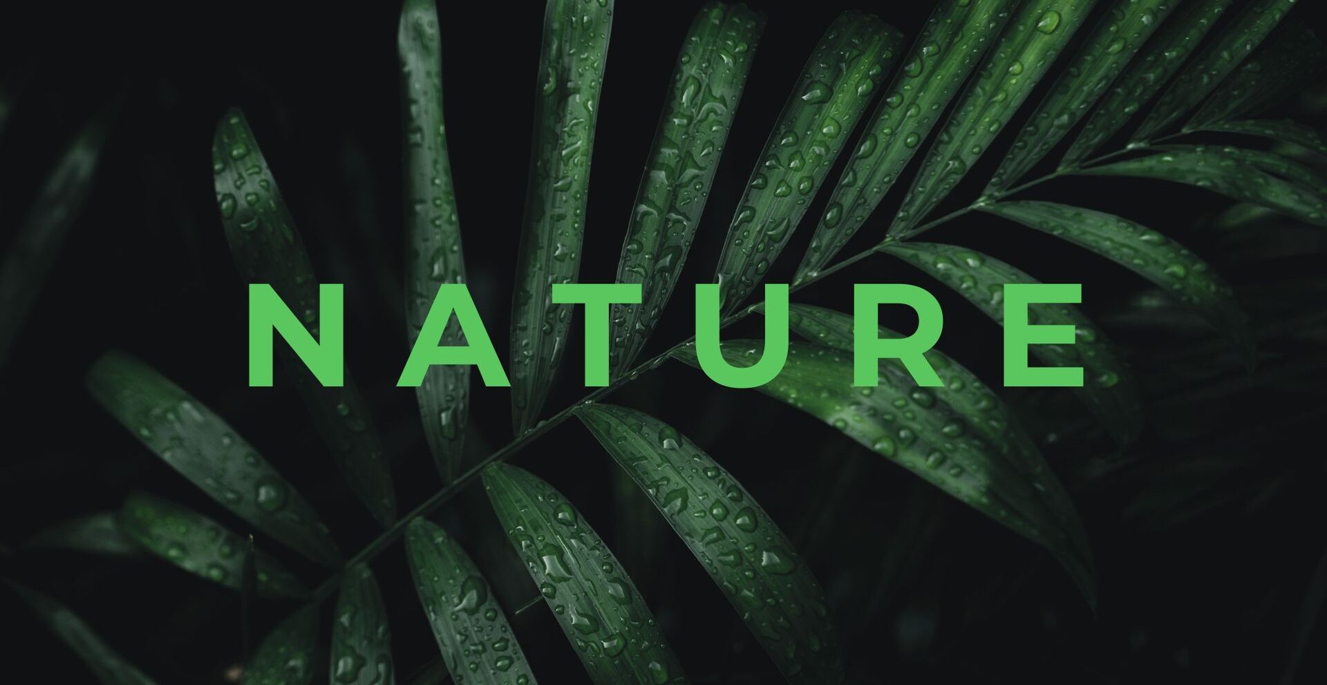 Nature Site slideshow